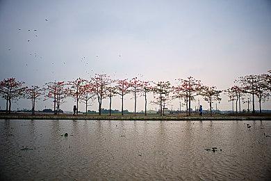 任天堂分享《星之卡比》30周年纪念音乐会视频